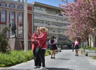 Расцутените јапонски цреши побудија насмевки