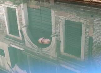 Медуза ги посети чистите канали на Венеција